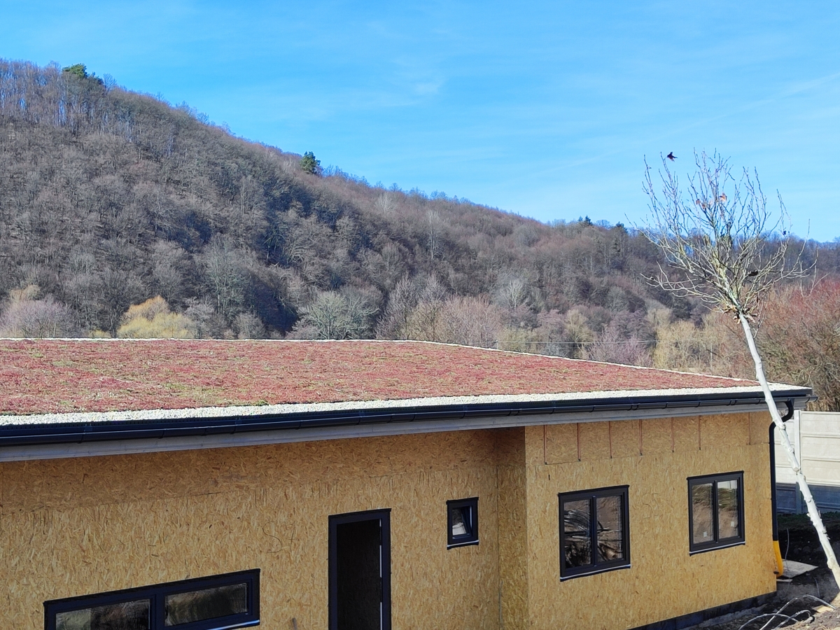 Nízkoenergetický prízemný dom Bečov